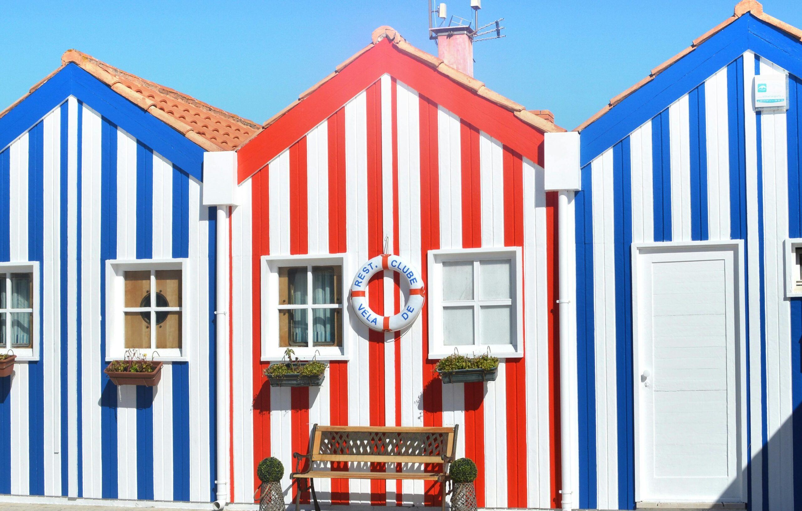 pexels pixabay 259574